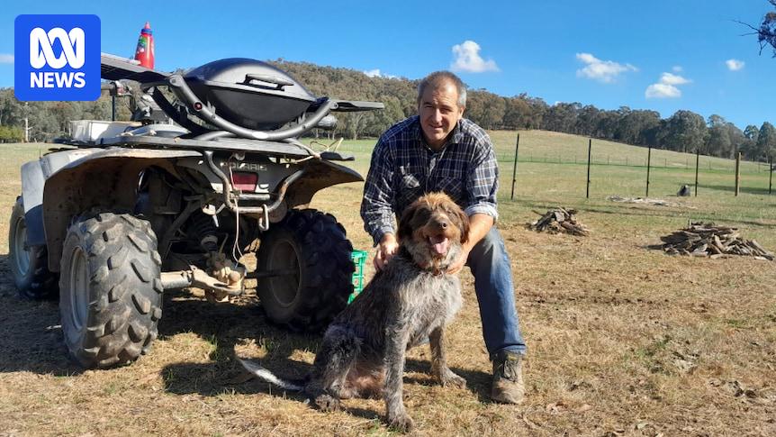 Sisters of officer Neal Thompson to sue Victoria Police over his fatal shooting by Dezi Freeman