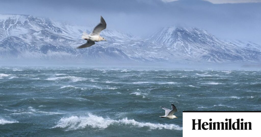 "Uncomfortably short" in the collapse of the ocean current and the cooling of Iceland