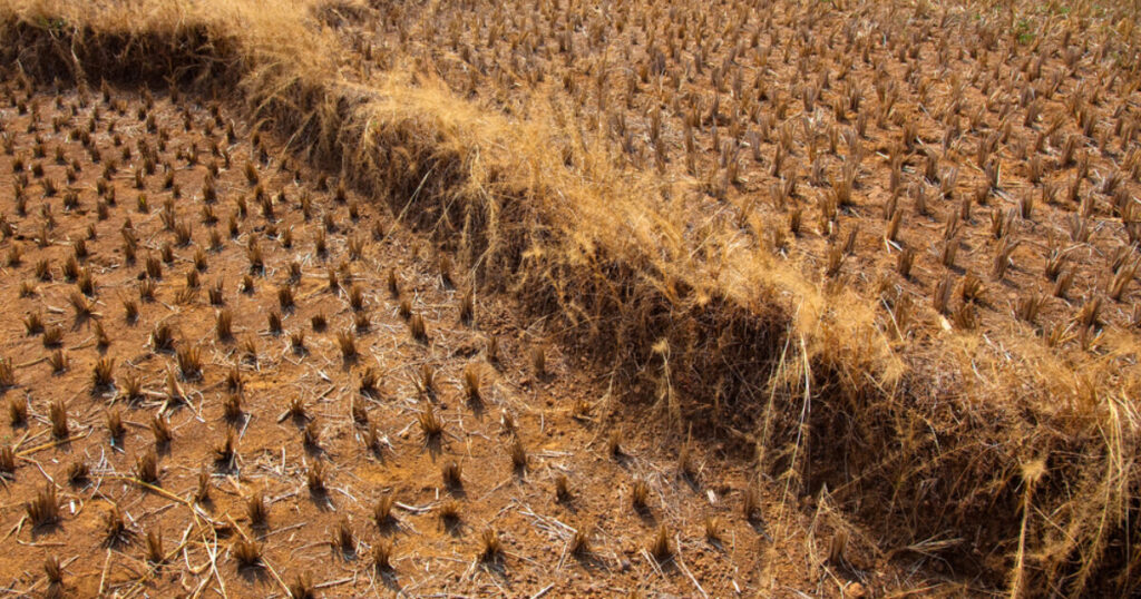 Energy & Climate Intelligence Unit