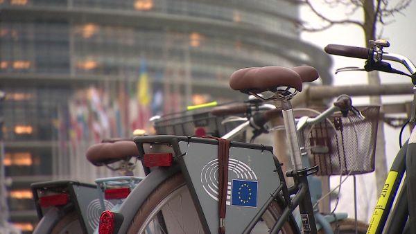 Pro-Russian MEPs may share confidential details with Moscow, lawmakers warn