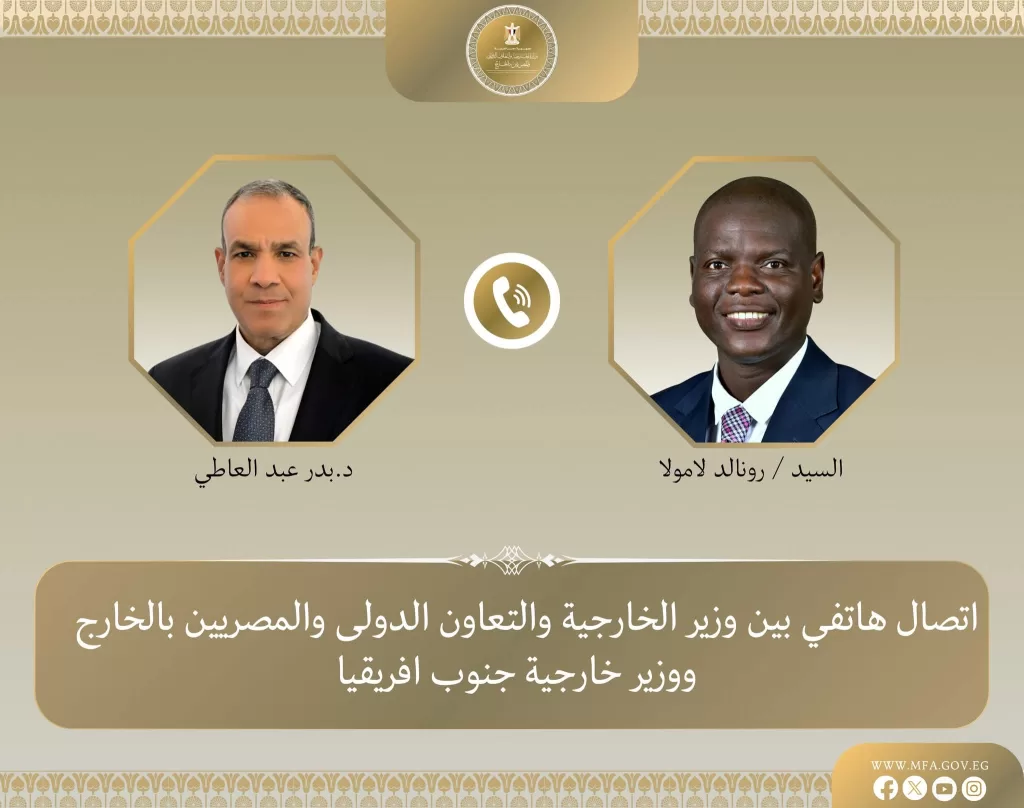 Egypt, South African FMs probe ties, regional developments