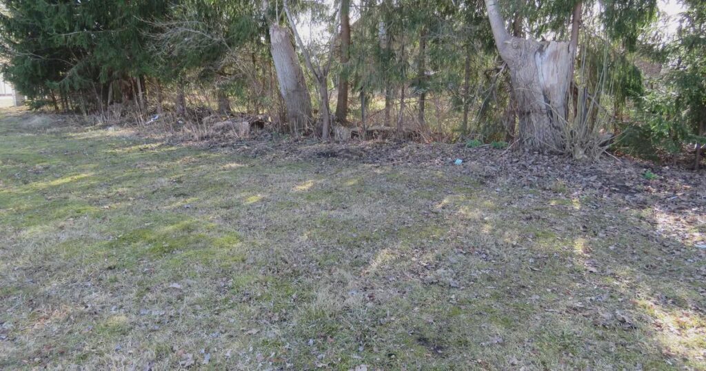 BLOWN A BREAK; Allegedly, the mother of one of the suspects in the blood work also took part in the brutal killing of Valga BLOWN A BREAK; Allegedly, the mother of one of the suspects in the blood work also took part in the brutal killing of Valga