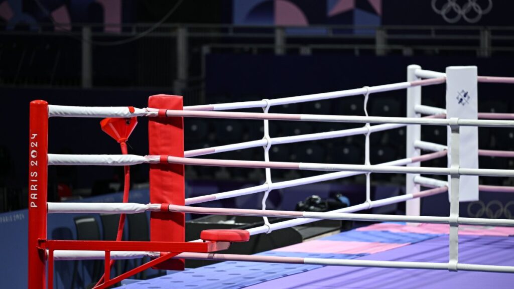 Boxers from Russia, Belarus allowed as neutral athletes in WBA matches – NBC Los Angeles Boxers from Russia, Belarus allowed as neutral athletes in WBA matches – NBC Los Angeles