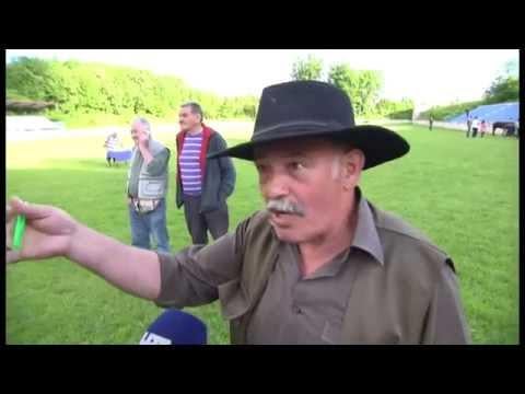 Reminder that this video exists - Horse Show (Fruits of the Earth)