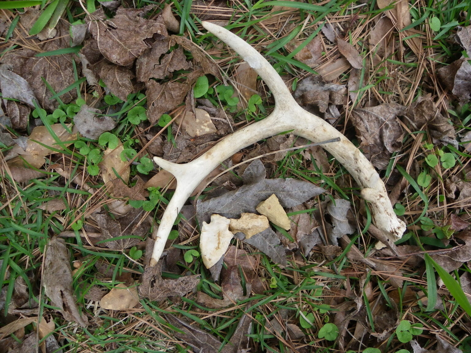 Treasures found when turkey hunting – Minden Press-Herald