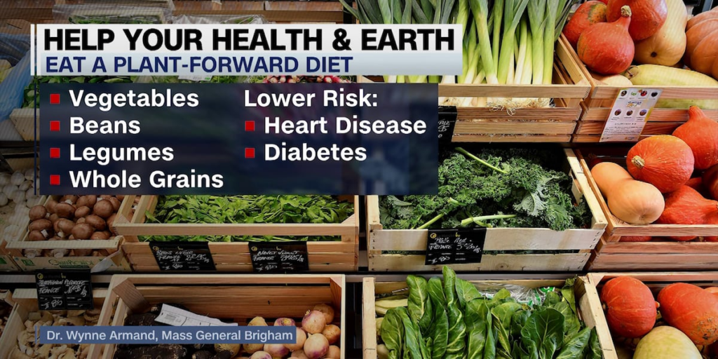 Ecologists share tips for helping to save the planet and our health