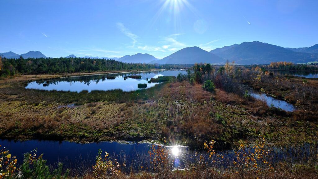 Moorland area in Germany is to be doubled