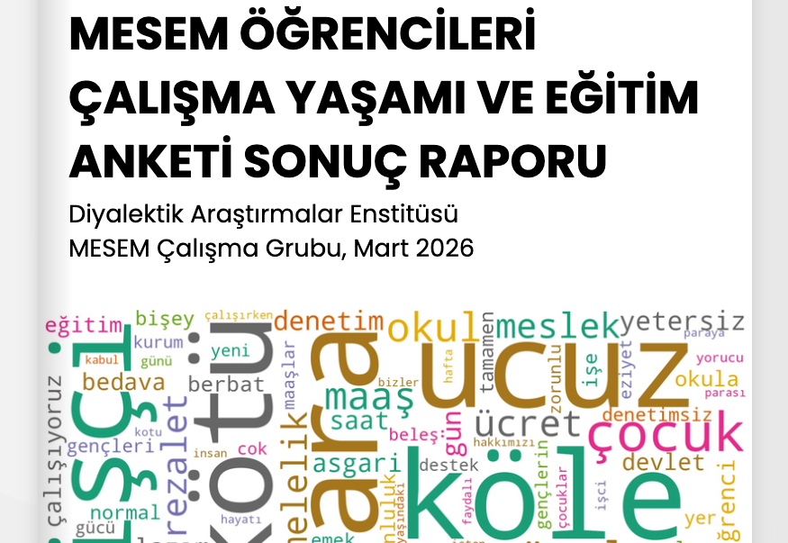 Nearly half of students in Turkey’s MESEM program report accidents, overwork