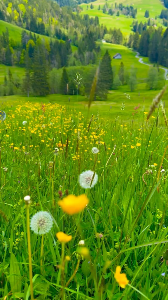 Beautiful works of creation. Switzerland