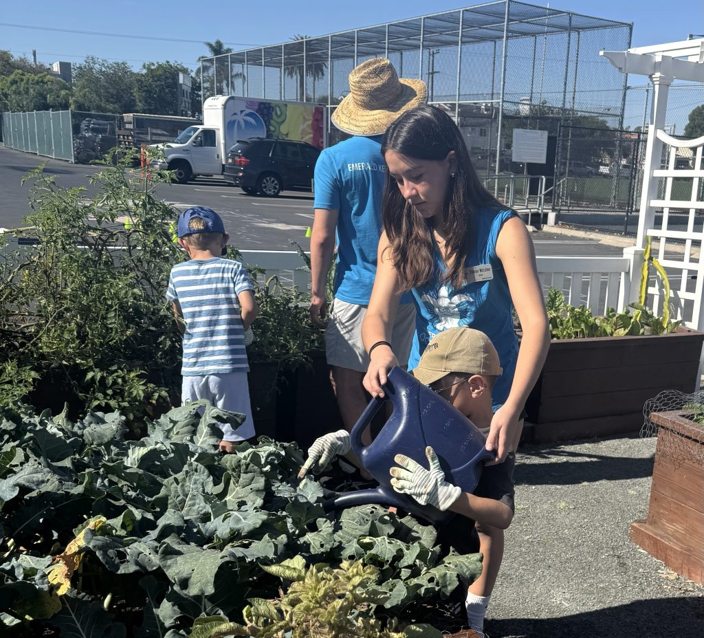 Emerald Keepers camps introduce children to nature, environment