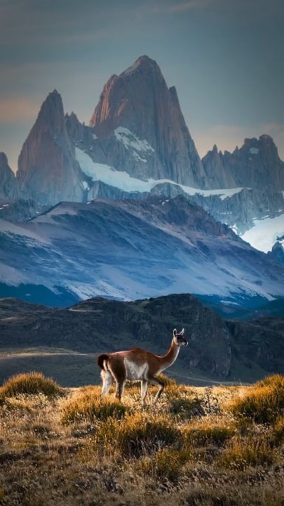 El Chaltén, Argentina