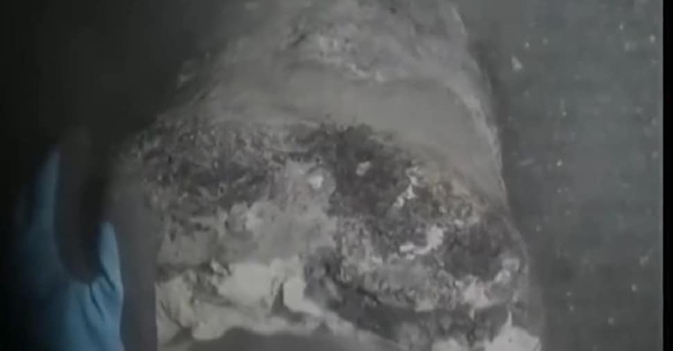 vai alla homepage de Il Sole 24 Ore