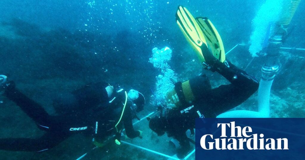 Hidden treasures: Spanish archaeologists discover trove of ancient shipwrecks in Bay of Gibraltar | Archaeology
