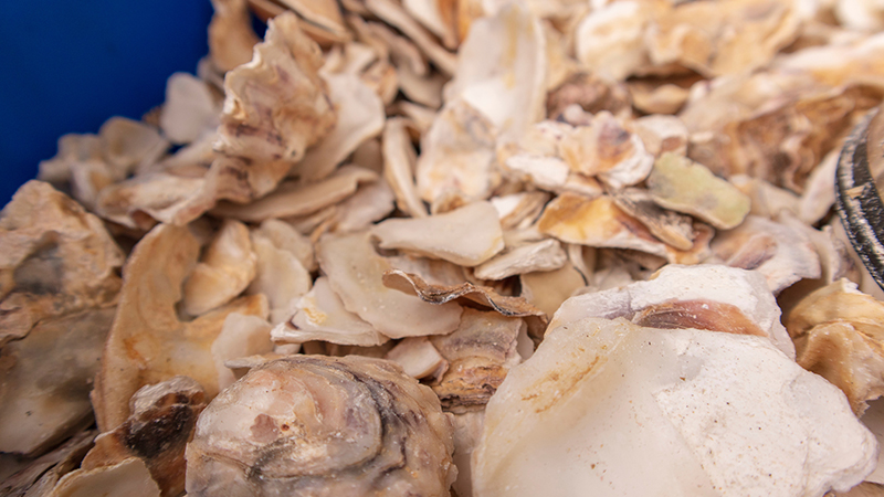 Oyster barrel filter created by the Port of Seattle.