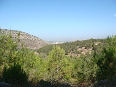 When home feels far away: The ghost towns of my heart