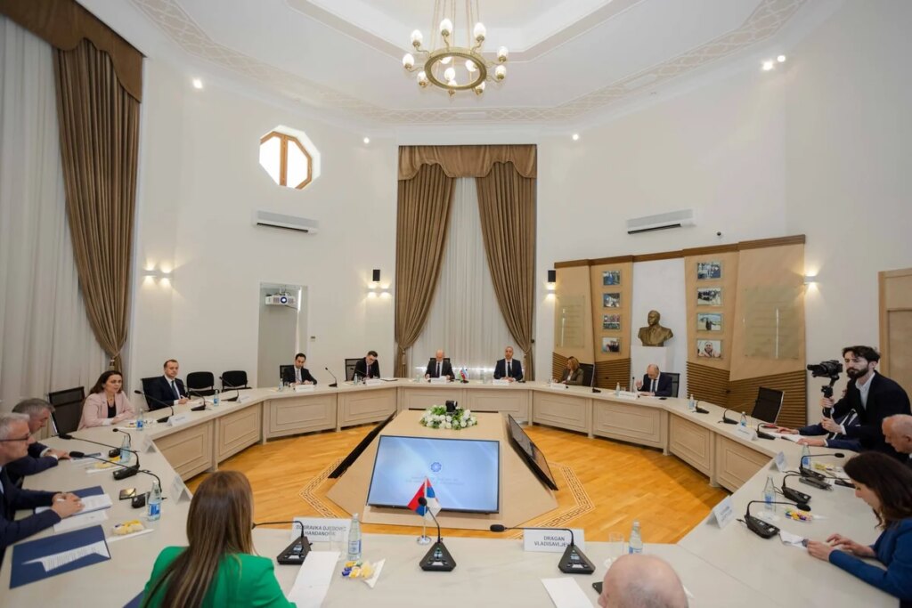 Azerbaijan and Serbia discuss cooperation in energy efficiency