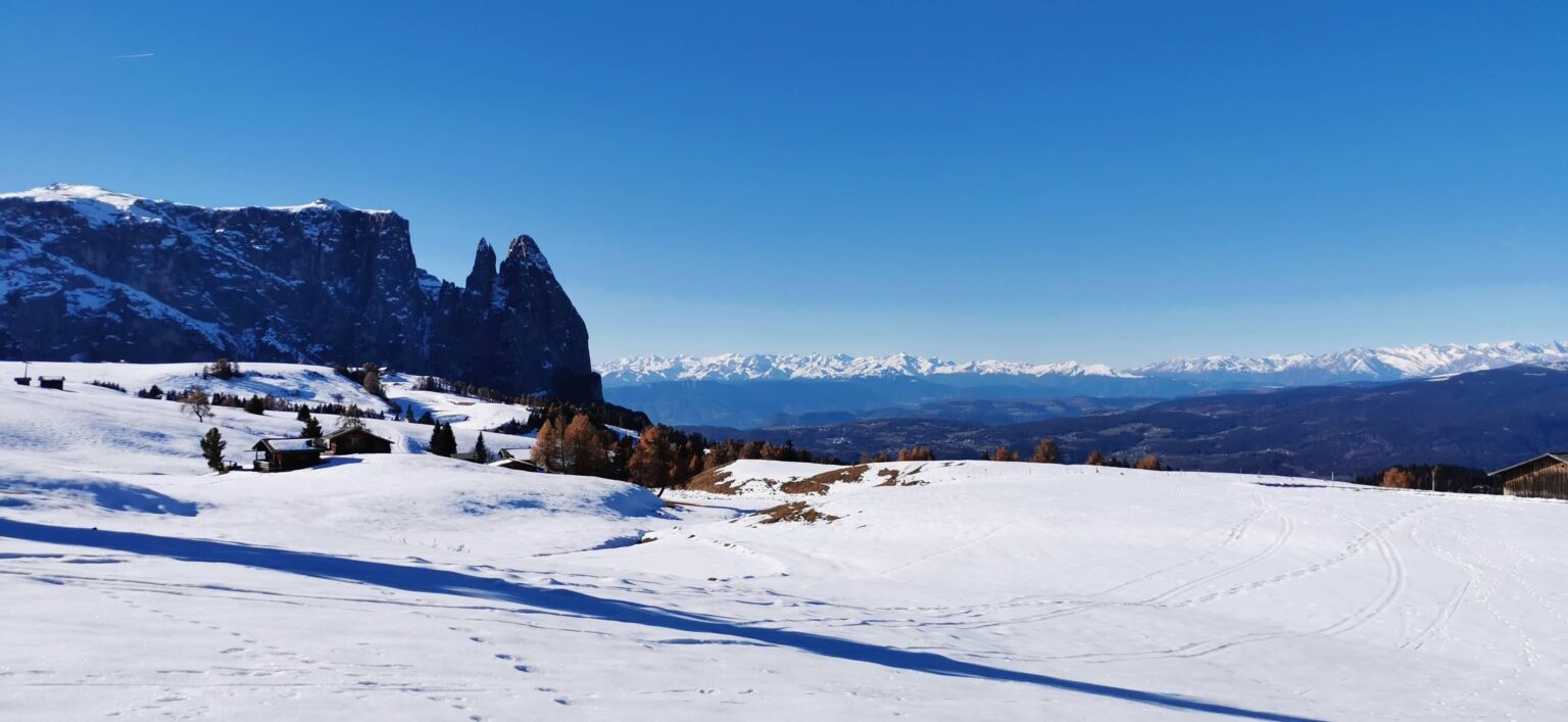 Caffè Italia * 12/04/26