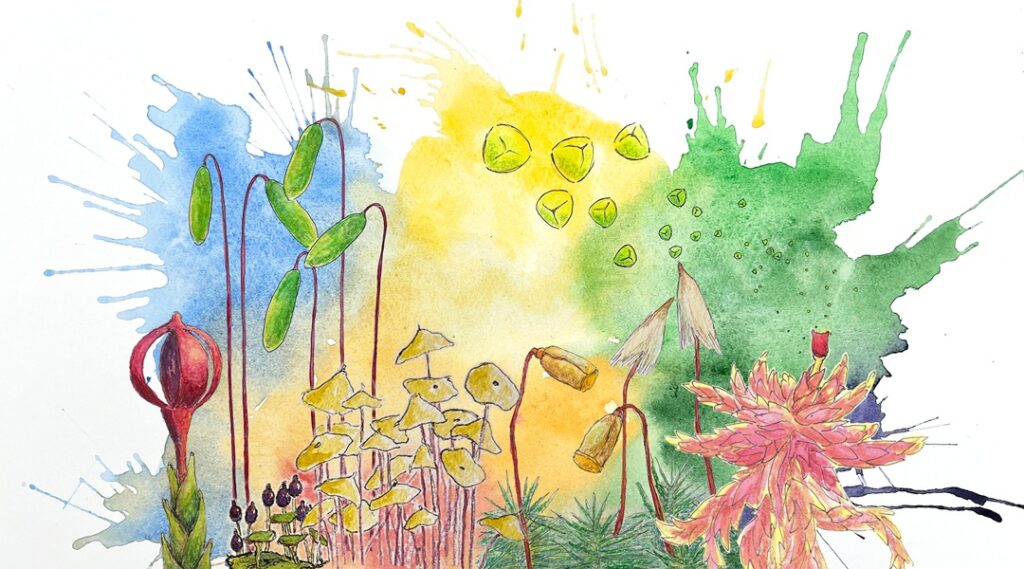 Airborne DNA reveals shifting reproductive timing in bryophytes