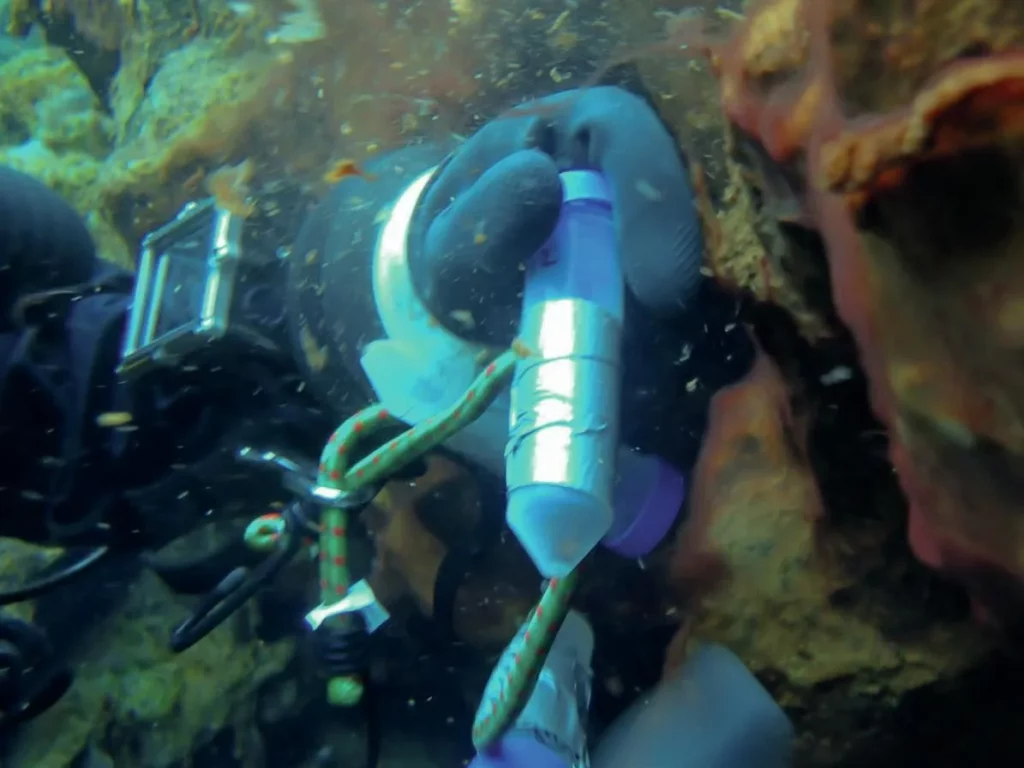 A technical diver holding a plastic lab sample tube containing microbial biofilm from an Icelandic fissure during a dive to the ultimate Iceland´s Underwater frontier.