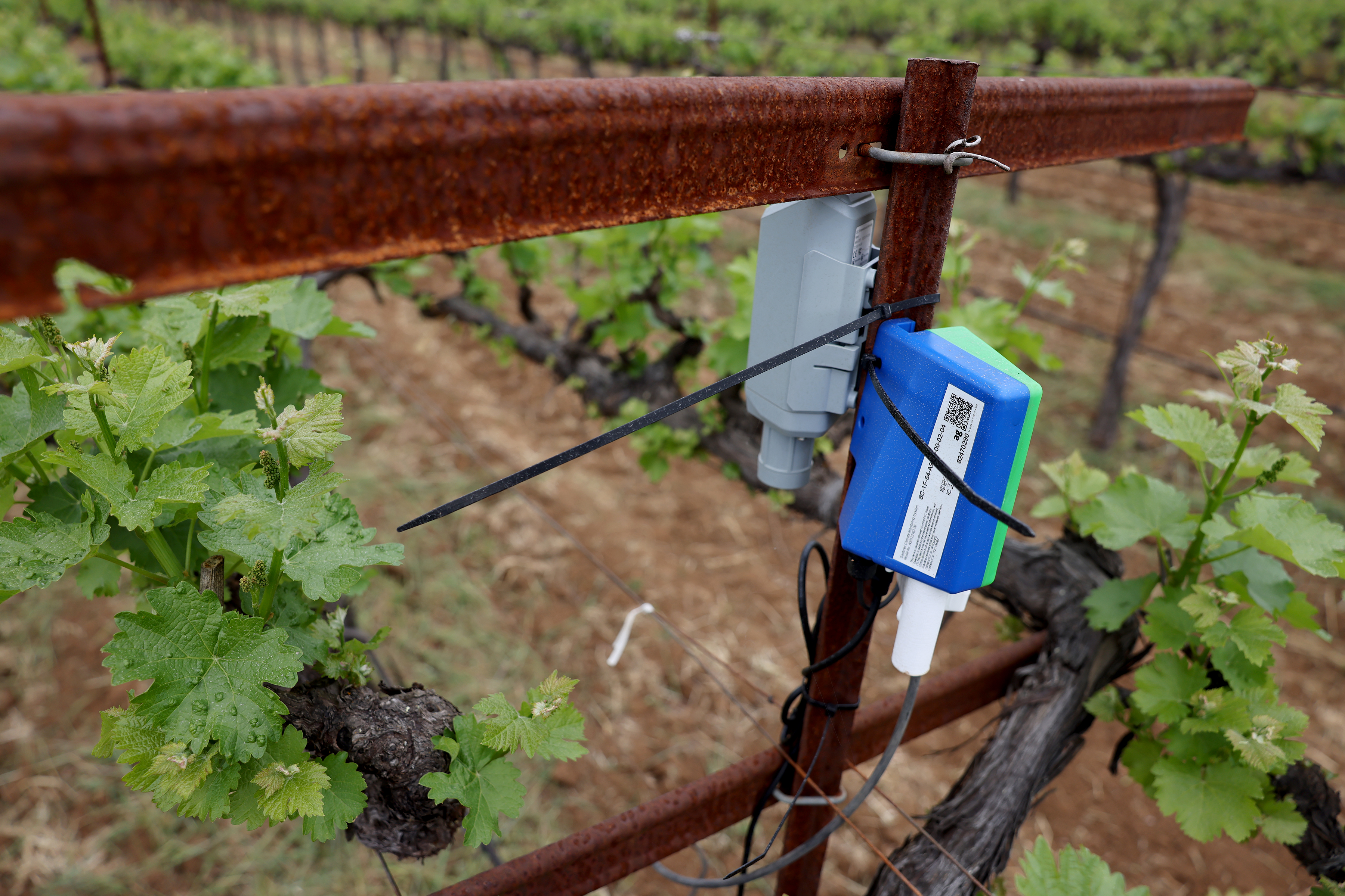 Agrologyâs Arbiter Carbon Monitoring System monitors real-time microbial respiration, soil...