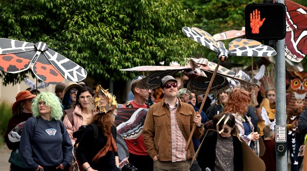 The Earthly Procession waits for the walk sign, at Third Street and Santa Rosa Avenue en route to the Earth Day celebration at Old Courthouse Square in Santa Rosa, Saturday, April 25, 2026. (Kent Porter / The Press Democrat)