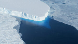 The calving front of Thwaites’ ice shelf. The blue area is light reflecting off ice below the water. (James Yungel/NASA Icebridge)