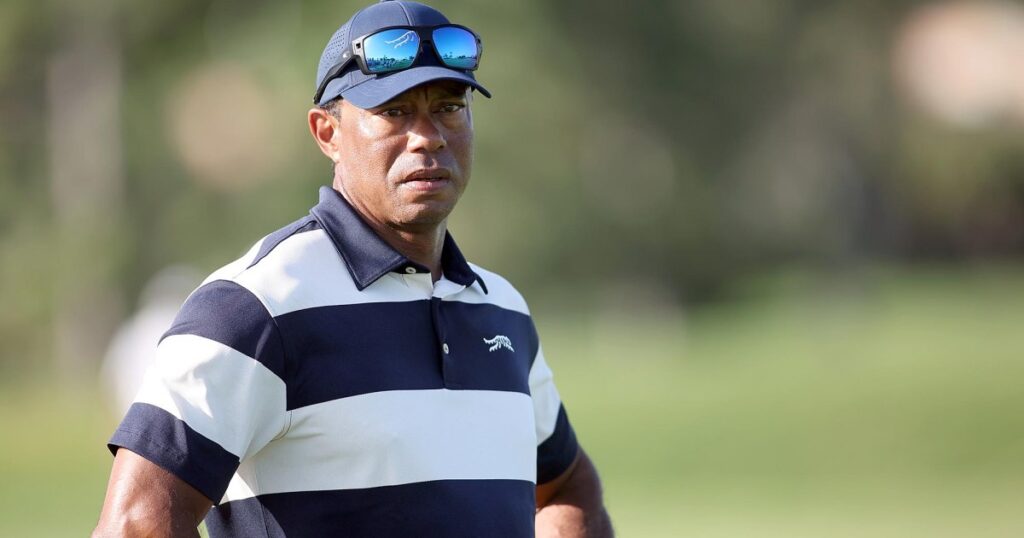 Tiger Woods' Private Jet Lands in Switzerland Amid DUI Arrest