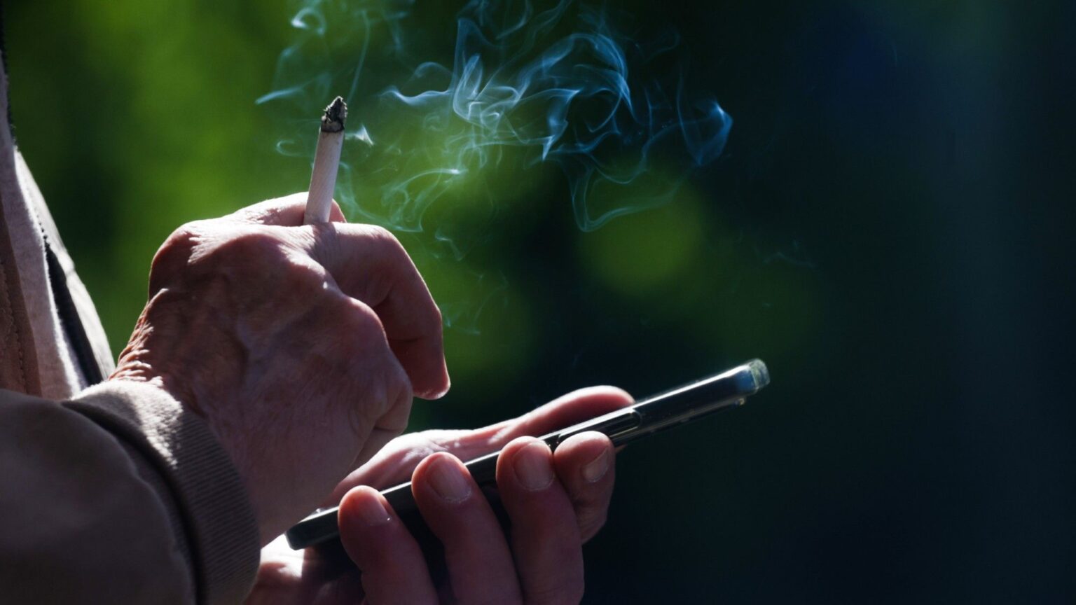 ‘The very nature of social media algorithms is to adapt’