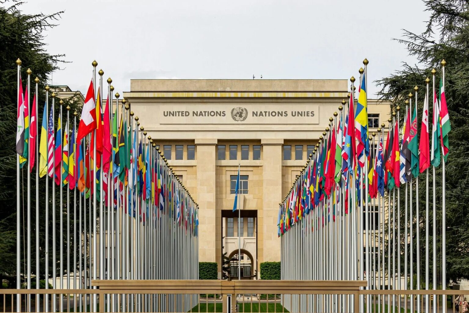 UN rapporteurs raise concerns over Turkey’s use of terrorism laws against rights defenders