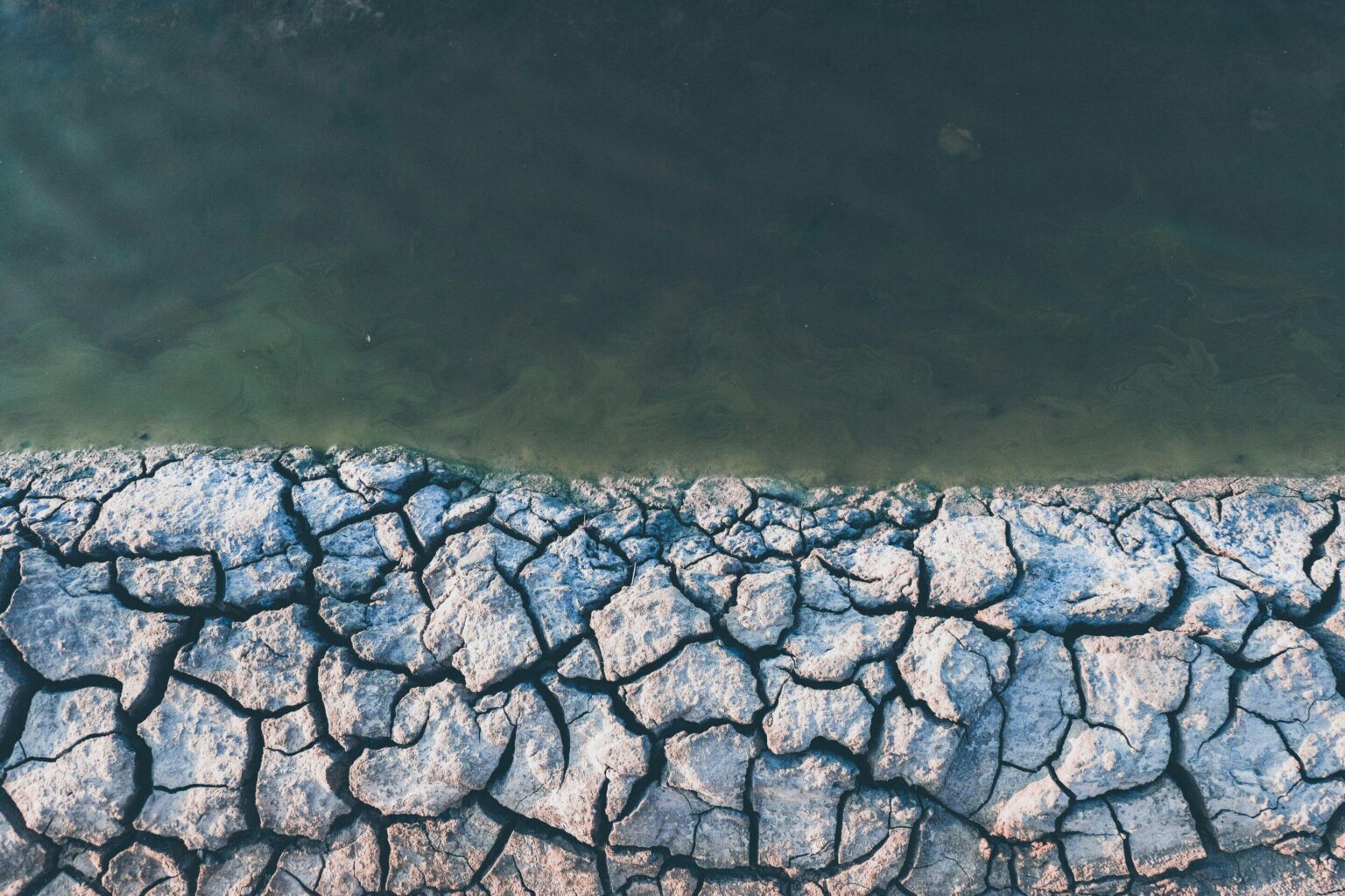 Report links biodiversity collapse to risks for financial systems and food security