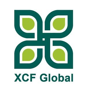 BBI International Logo