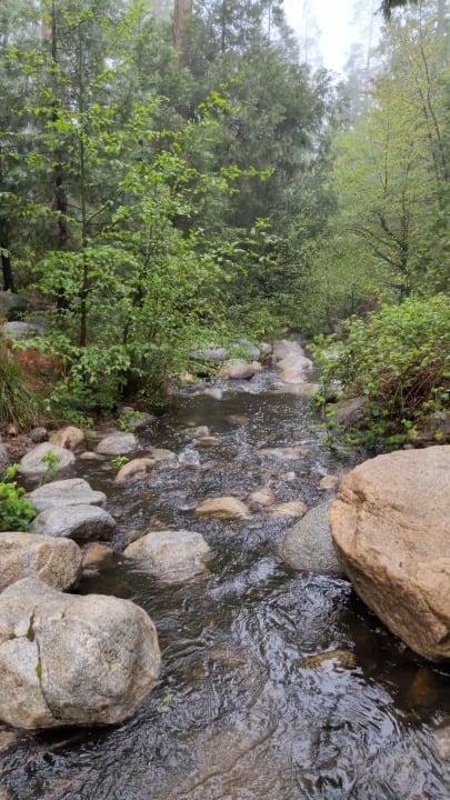 Nothing like the incredible peace you feel when taking a moment in the woods next to running water