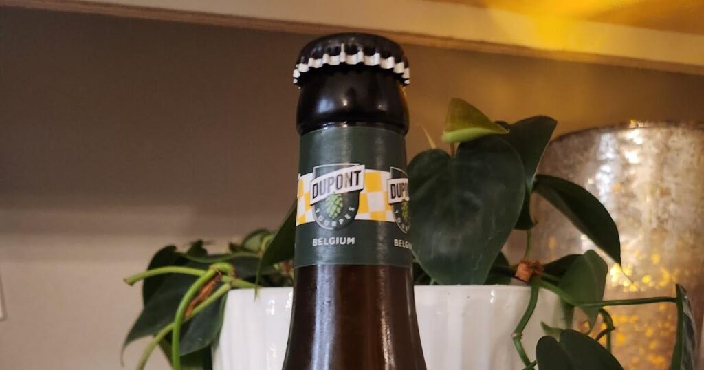 Beer Review - Saison Dupont from Brasserie Dupont