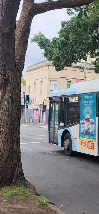 Is it too rare to see 3 of the same bus routes at the same time?