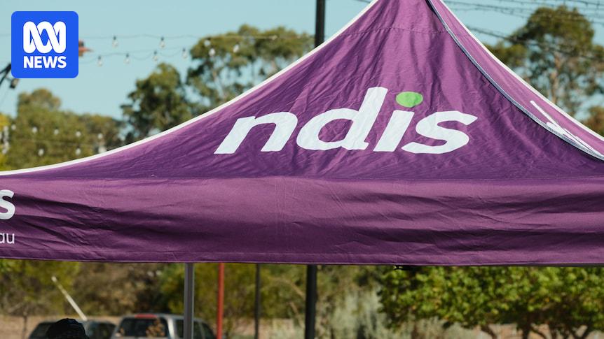 Crackdown on unregistered NDIS providers coming in bid to save $6b a year