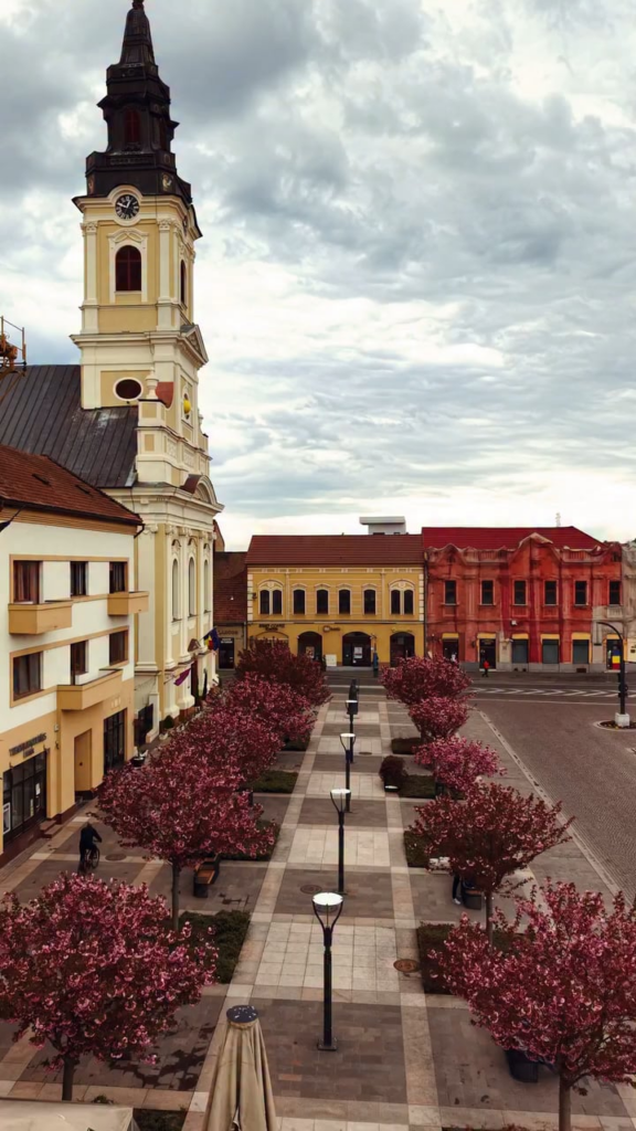 The Japanese cherry trees bloomed in Oradea. From time to time it is worth enjoying the beauty.
