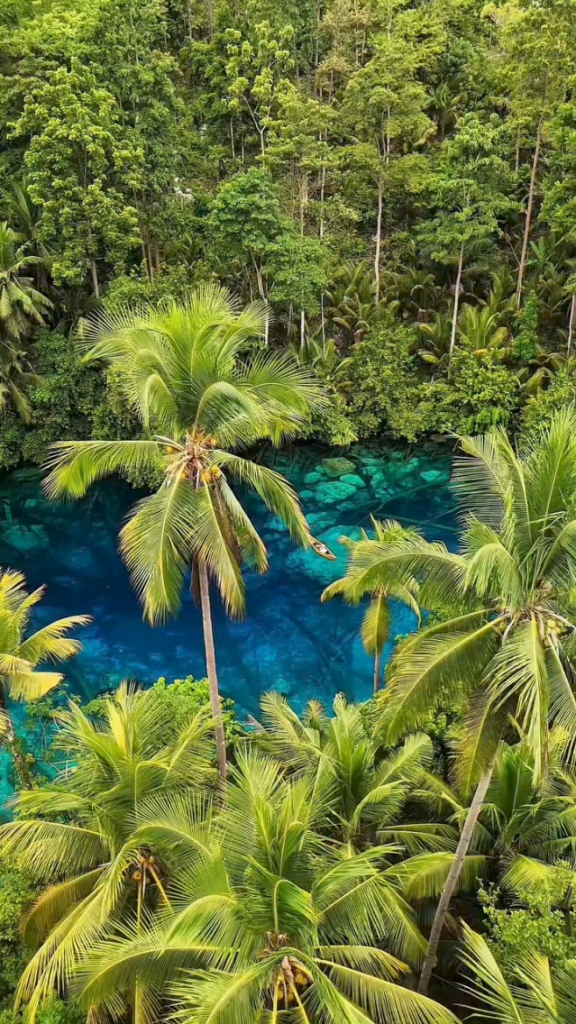 📍Paisupok Lake, Banggai Island, Central Sulawesi, Indonesia 🫧🌿⛰️