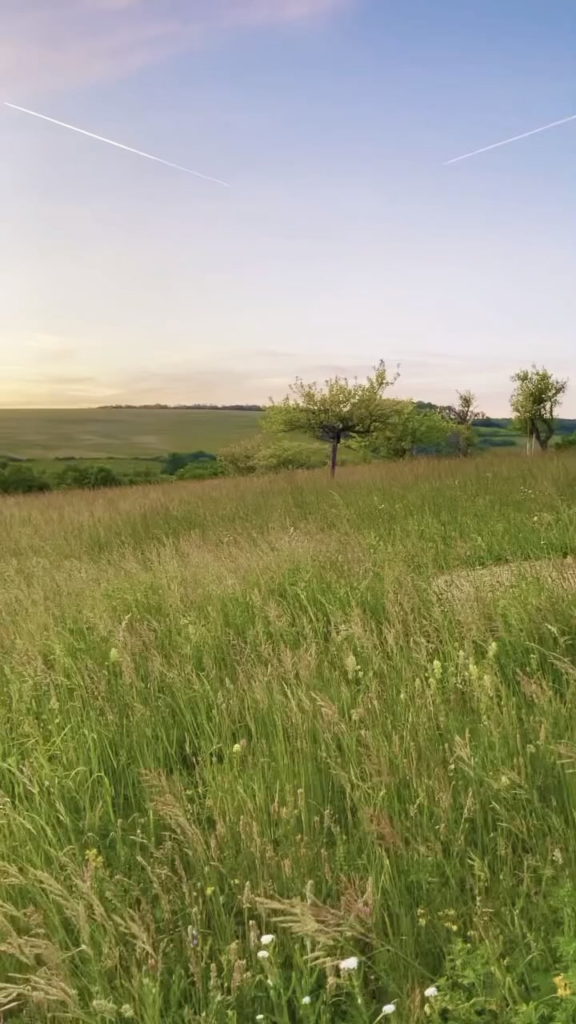 The calm we seek is in Germany.