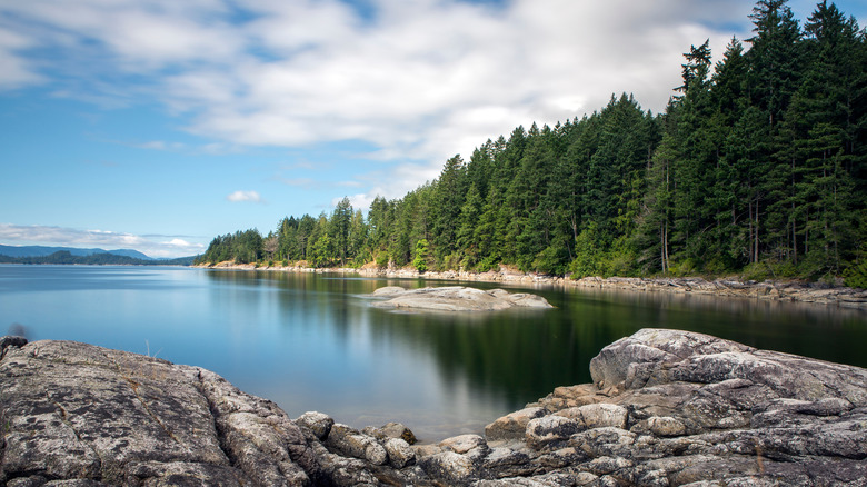 View of the water and trees at Saltery Bay Provincial Park