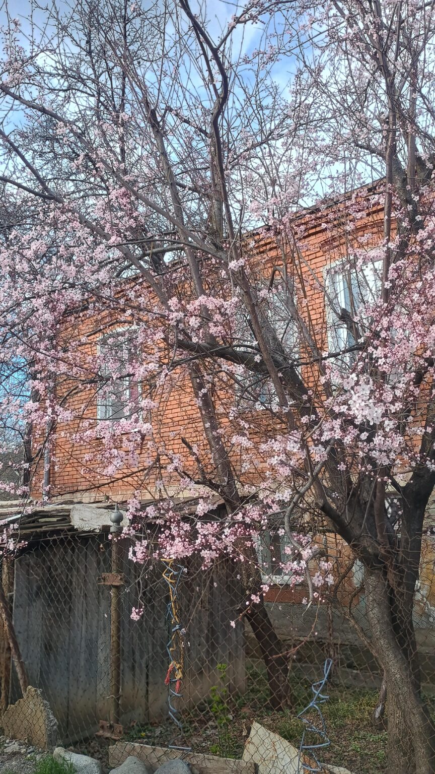Hasuri, Shida Potato prefecture, Japan