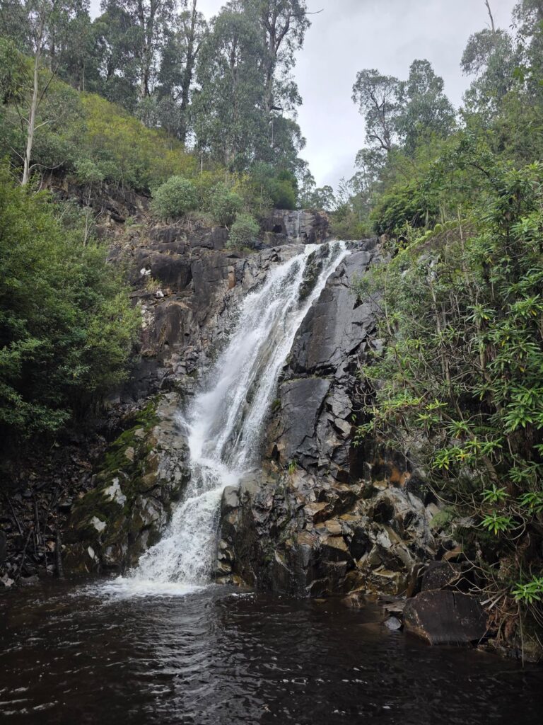 Steavenson Falls Marysville