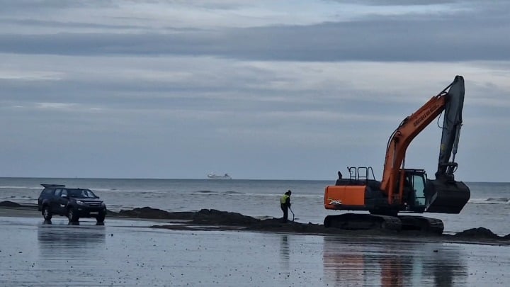 What are they doing at the beach today?