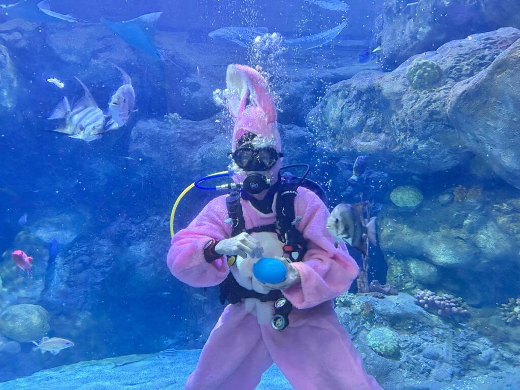 Live Entertainment Options for the Easter Weekender