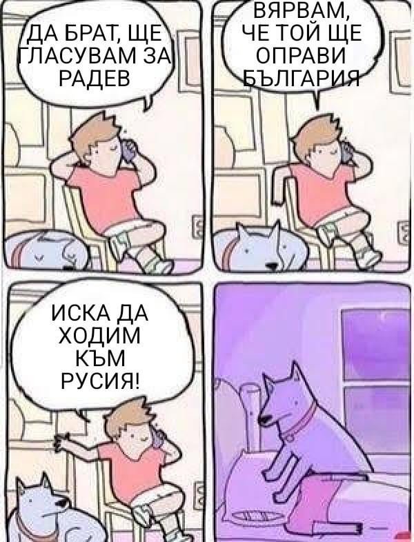 Even the dog has more sense..