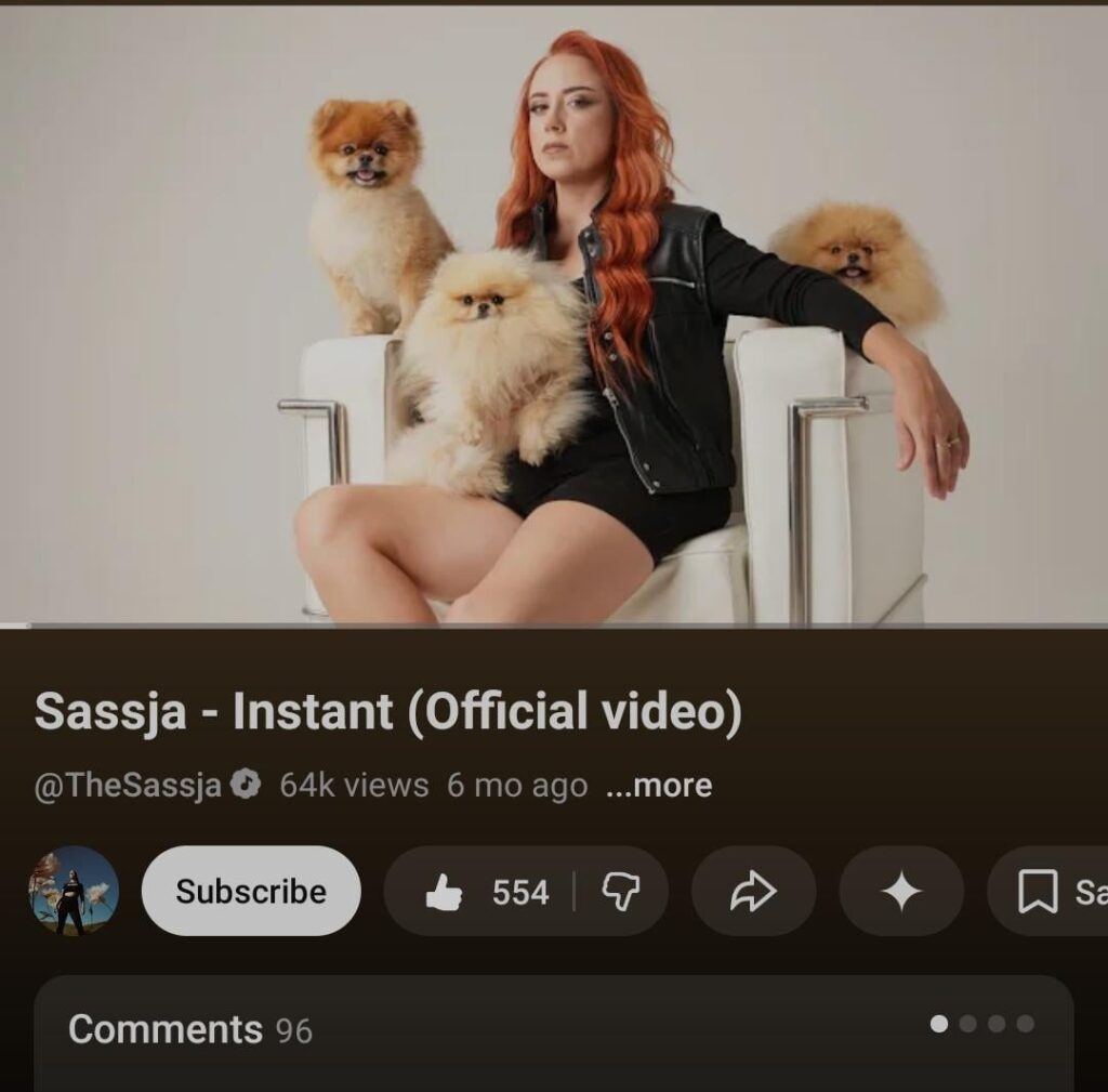 We don't appreciate the great and only BiH female rapper enough. In which, put your favorite song from her. For me, this Instant is from the new album