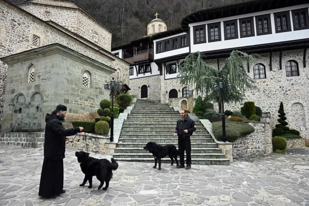 Father Porfirij walks a Karaman dog at the Bigorski Monastery in Mavrovo i Rostuse on March 19.