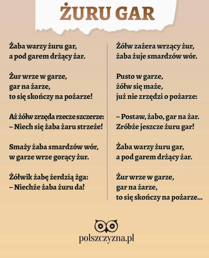 Froggy in the kitchen