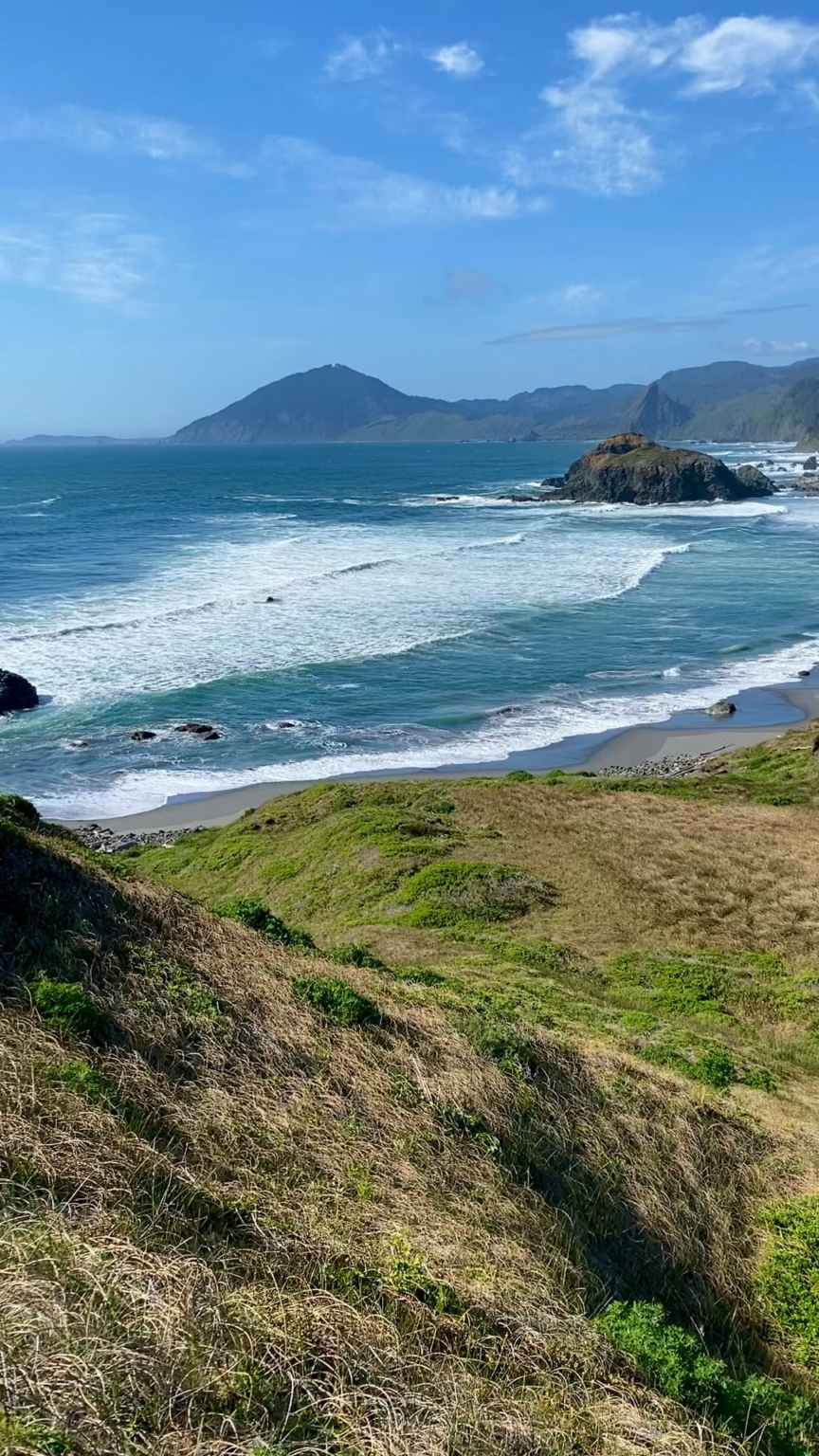 Spring beauty on the southern coast of Oregon
