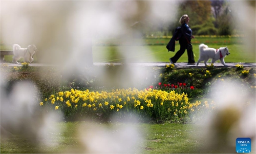 Spring flower exhibition held at Volcji Potok Arboretum near Kamnik, Slovenia