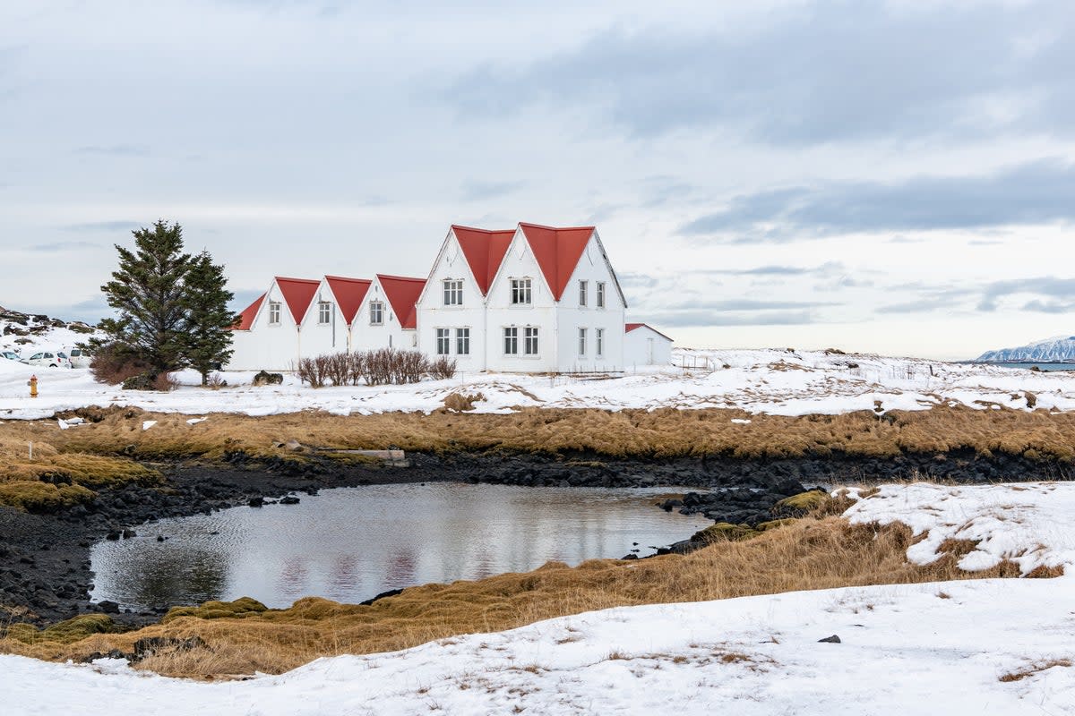 Björk’s ‘eclipse rave’ will take place in Hafnarfjörður (Getty Images)